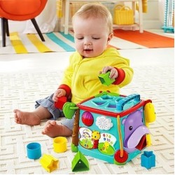 Fisher Price Play & Learn Activity Cube (DNP32)