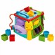 Fisher Price Play & Learn Activity Cube (DNP32)