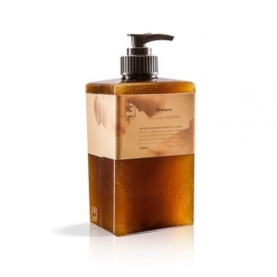 Ginger Ginger Shampoo 500 ml