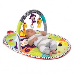 Infantino Explore & Store Activity Gym Neutral