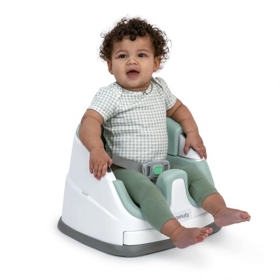 Ingenuity Baby Base 2-in-1 Seat - Mist