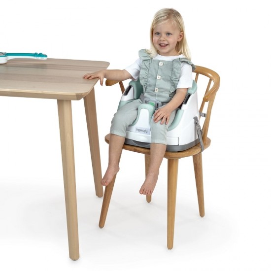 Ingenuity Baby Base 2-in-1 Seat - Cashmer