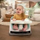 Ingenuity Baby Base 2-in-1 Seat - Mist
