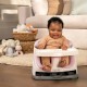 Ingenuity Baby Base 2-in-1 Seat - Peony