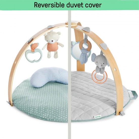 Ingenuity Cozy Spot Duvet Activity Gym