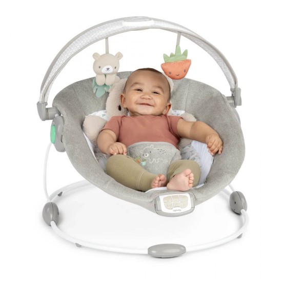 Ingenuity InLighten Baby Bouncer Seat - Nate