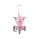 Baby Star x Kids Star Foldable Tricycle - Sweet Pink
