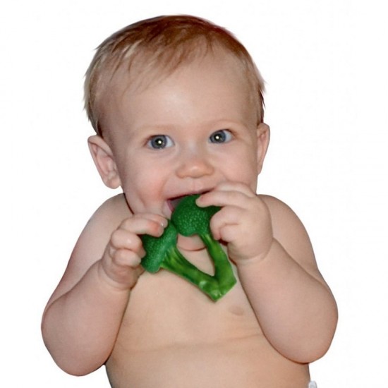Little toader Teethers - Broccoli