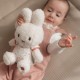 Miffy Little Dutch Gift Box - Lucky Blossom