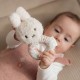 Miffy Little Dutch Gift Box - Lucky Blossom