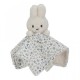 Miffy Little Dutch Gift Box - Lucky Leaves