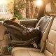 Munchkin Car Seat Guardian (61220)