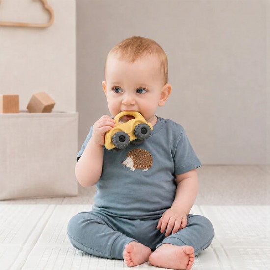 Nuby Silicone Car Teether Toy
