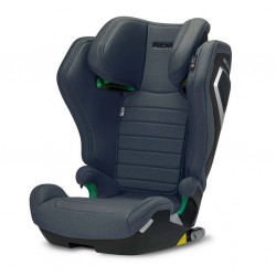 Recaro AXION1 Carseat I-SIZE 100-150 (B1101009) - Grey