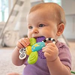 Sassy flutterby teether