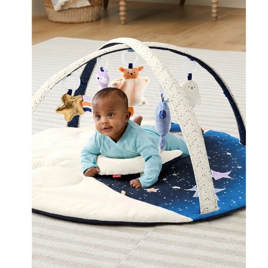Skip Hop Celestial Dreams Activity Gym