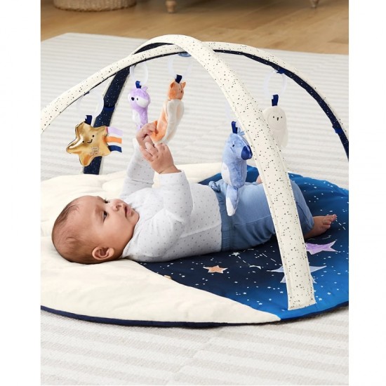 Skip Hop Celestial Dreams Activity Gym