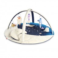 Skip Hop Celestial Dreams Activity Gym