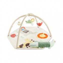 Skip Hop Geometric Wonders Activity Gym