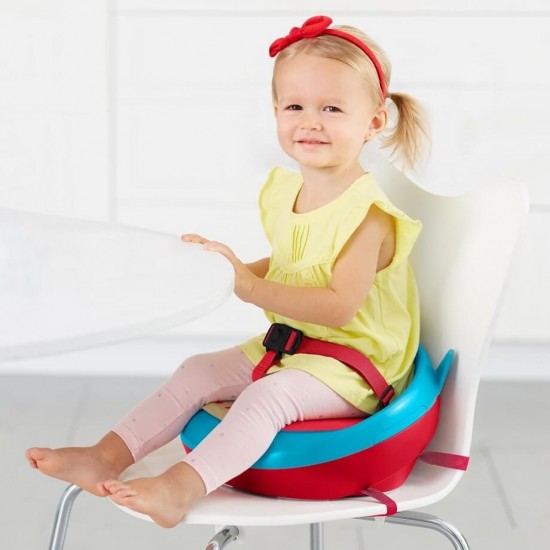 Skip Hop Zoo Booster Seat - Owl