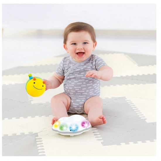 Skip Hop Explore & More Follow Bee Crawl Toy