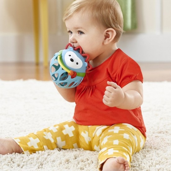 Skip Hop Explore & More Roll-Around Rattles - Hedgehog