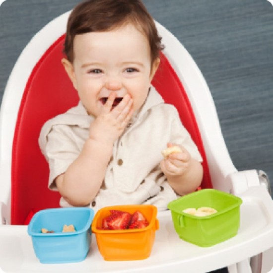 Skip Hop Bento Mealtime Kit