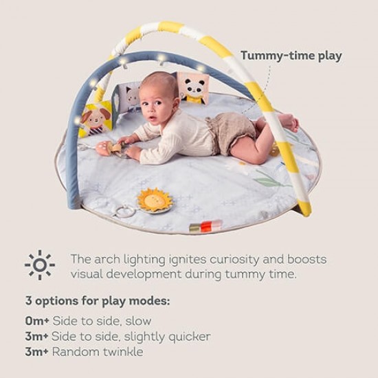 TAF Toys Melody Bloom Gym (13495)