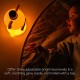 TAF Toys Night Light - Little Bear (13685)