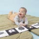 TAF Toys Savannah Black & white book (12875)
