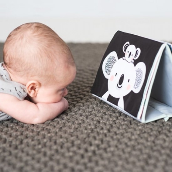 TAF Toys Tummy time book (12395)