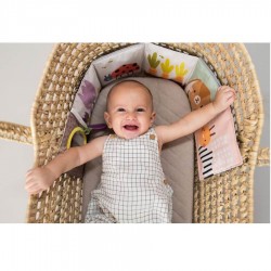 TAF Toys Urban Garden Pram Book (13065)