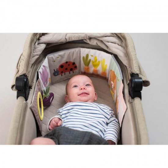 TAF Toys Urban Garden Pram Book (13065)