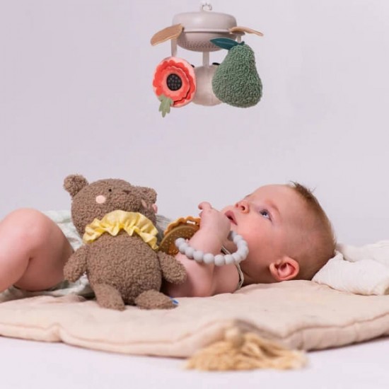 Taf Toys Newborn Luxe Gift Set (13515)