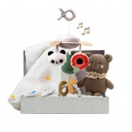 Taf Toys Newborn Luxe Gift Set (13515)