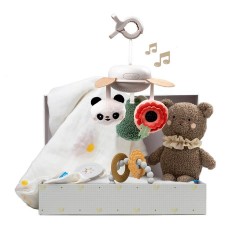 Taf Toys Newborn Luxe Gift Set (13515)