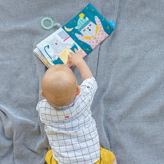 TAF Toys What does Paul wear book (12605)