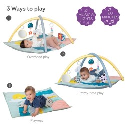 TAF Toys Magical mini moon gym (12655)