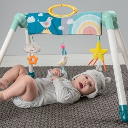 TAF Toys Mini Moon Take to Play Gym (12525)
