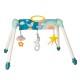 TAF Toys Mini Moon Take to Play Gym (12525)