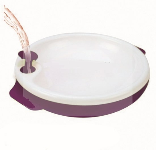 Petit Terraillon Evolutionary Plate - Purple