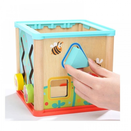 Top Bright Garden 5 in 1 Activity Cube