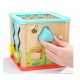 Top Bright Garden 5 in 1 Activity Cube